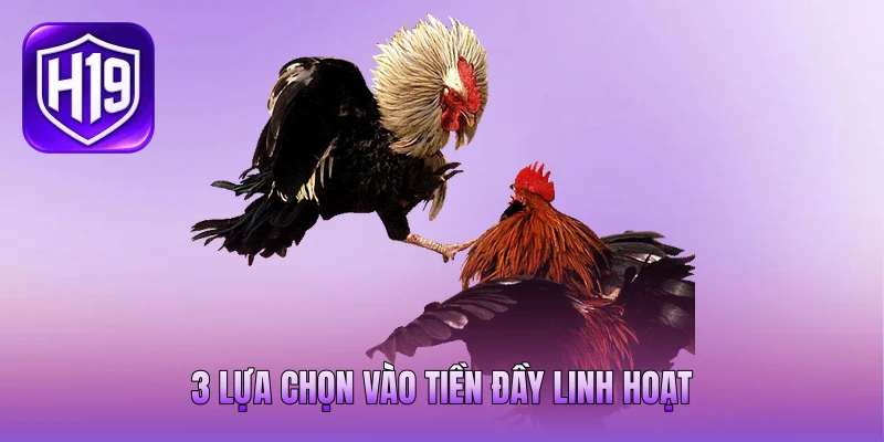 3 lựa chọn vào tiền đầy linh hoạt