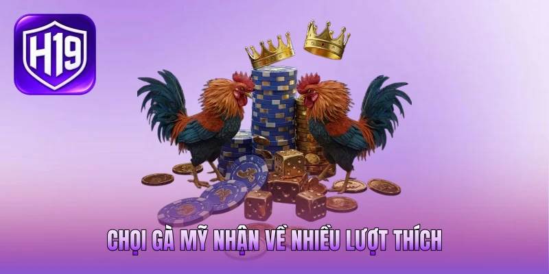 Chọi gà Mỹ nhận về nhiều lượt thích