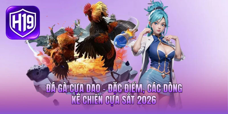 Đá Gà Cựa Dao - Đặc Điểm, Các Dòng Kê Chiến Cựa Sắt 2026