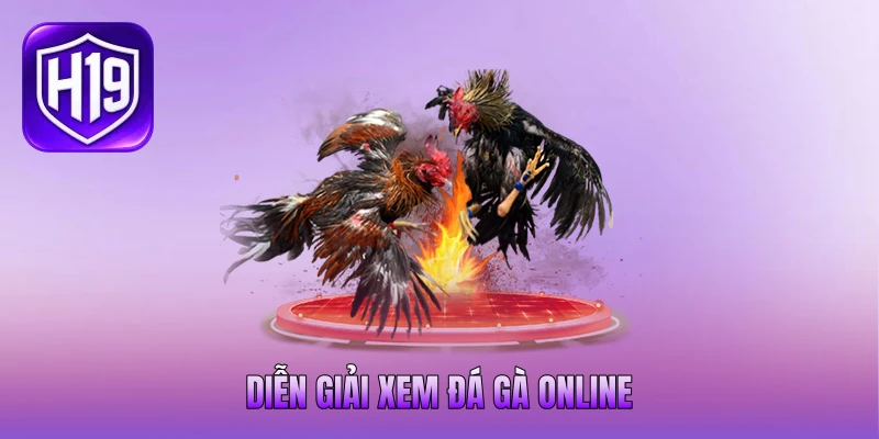 Diễn giải xem đá gà online