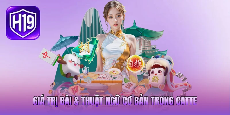 Giá trị bài & thuật ngữ cơ bản trong Catte
