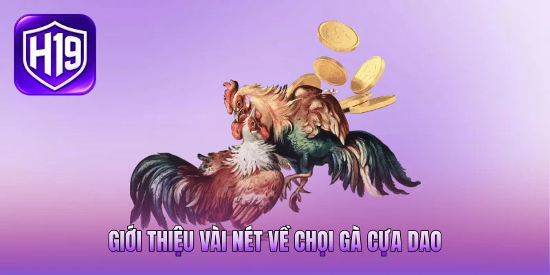 Giới thiệu vài nét về chọi gà cựa dao