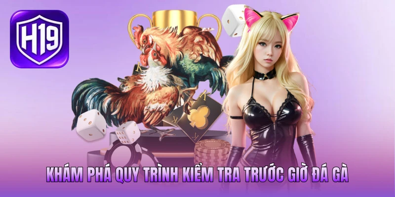 Khám phá quy trình kiểm tra trước giờ đá gà