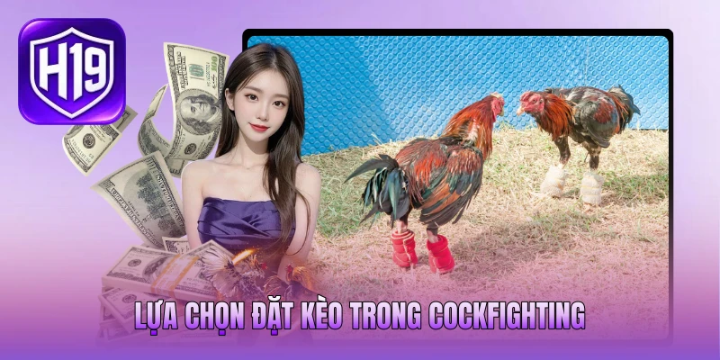 Lựa chọn đặt kèo trong Cockfighting