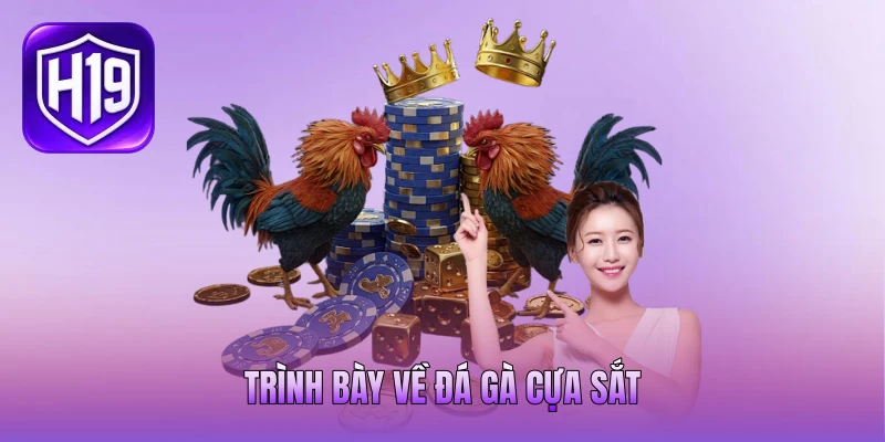 Trình bày về đá gà cựa sắt