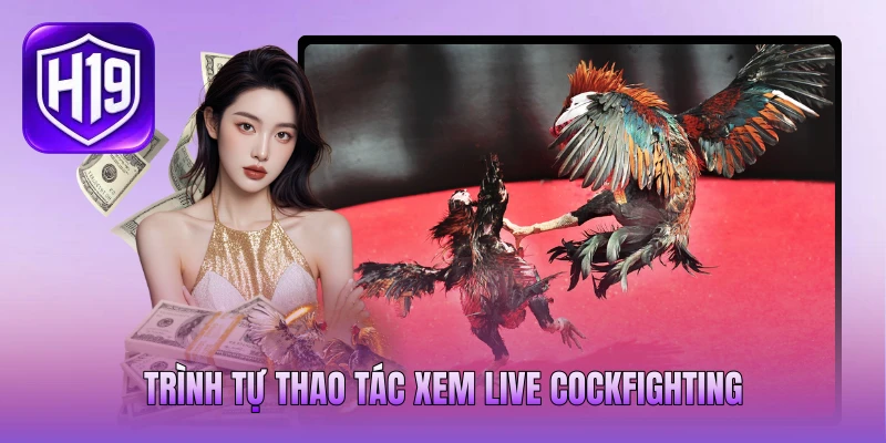 Trình tự thao tác xem live Cockfighting